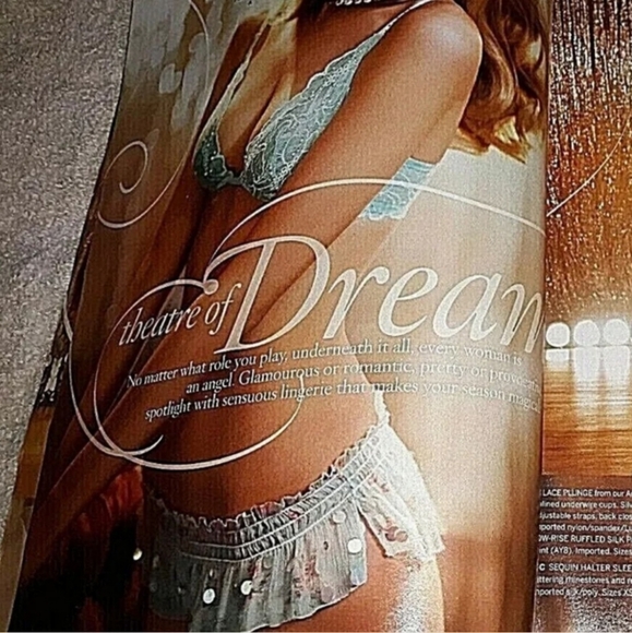 SOLD Ebay Rare ✨️ Victoria's Secret Y2K Dream Angels 100% Silk Sequin Panty Sm - Picture 3 of 10